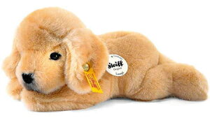 yV^CtK̔XzSteiff V^Ct ԃefBxA gtY go[̃s q R D