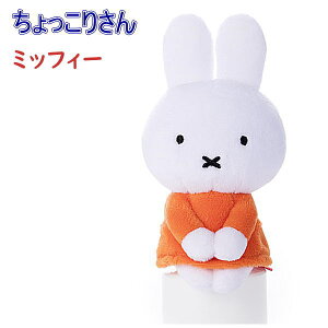 y^Jg~[A[cz肳 ʂ ~btB[ u[i