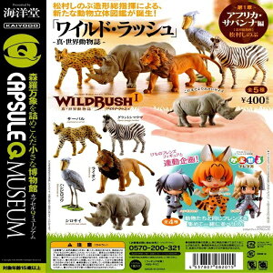 yzJvZQ~[WA WILD RUSH ^EE 1 AtJEToi S5Zbg yNbN|Xgoׁz