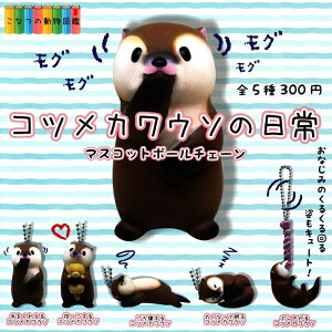 yzȂ̓} RcJE\̓ }XRbg{[`F[ S5Zbg yNbN|Xgoׁz