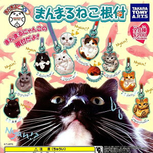 yz܂܂ǂԂ@܂܂˂t@S8Zbg yNbN|Xgoׁz