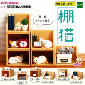 楽天市場 サボテン 種 ガチャガチャ コレクション ホビーの通販