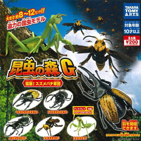 楽天市場 昆虫の森の通販