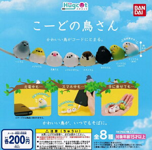 yznORbg [ǂ̒ S8ZbgyNbN|Xgoׁz