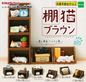 楽天市場 サボテン 種 ガチャガチャ コレクション ホビーの通販