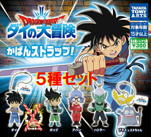 yzhSNGXg _C̑` ΂XgbvI m[}5ZbgyNbN|Xgoׁz