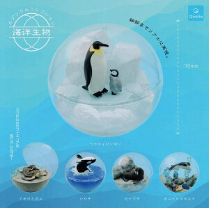 yzJvERNV Cm S5Zbg y}֏oׁz