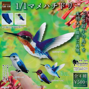 【送料無料】1/1マメハチドリ 全4種セット【クリックポスト出荷】