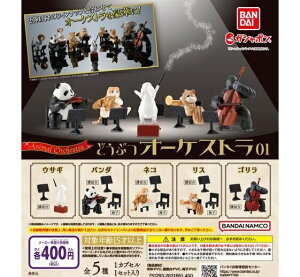 yzǂԂI[PXg01 S5ZbgyNbN|Xgoׁz