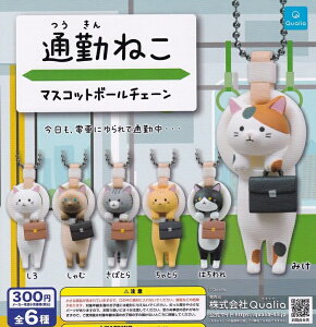 yzʋ΂˂ }XRbg{[`F[ S6Zbg yNbN|Xgoׁz