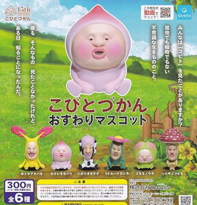 【送料無料】こびとづかん おすわりマスコット 全6種セット【クリックポスト出荷】