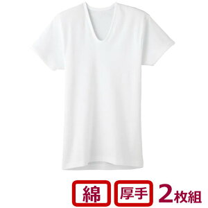 Ci[ Y GUNZE g\tg Kۉ  U RP6516A 2g am O[ YCi[ u ulbN n Ci[EFA RbgCi[ 100% H~ ۉ RۖhL 