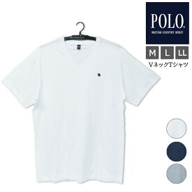 メンズ グンゼ POLO VネックTシャツ PBM115C PBM315 単品 gunze スタンダード インナー シャツ 肌着 V首 綿 Tシャツ 紳士（04883）