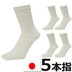 楽天市場 綿100 五本指 靴下 メンズの通販