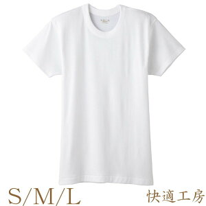 Ci[ Y GUNZE KH[ ێ KH5014 Pi am O[ N[lbN gunze Ci[Vc A_[Vc 100% (00213)