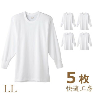 Ci[ Y GUNZE KH[ ێ KH3008 llTCY 5g  am O[ ێ N[lbN ܂Ƃߔ 5 Ci[Vc rWlXCi[ 100% RbgCi[ 