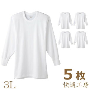 Ci[ Y GUNZE KH[ ێ KH3008 3lTCY 5g  gunze 傫TCY   N[lbN ێ 100% am O[ gunze(00465)