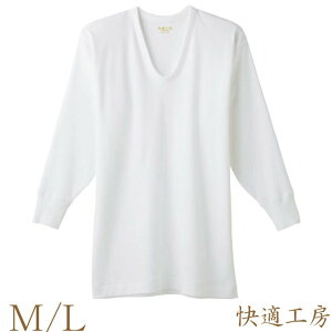 Ci[ Y  GUNZE KH[ U KH3810 Pi gunze O[ KH[   am u Ci[Vc A_[Vc(00942)