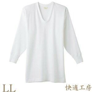 Ci[ Y GUNZE KH[ U KH3810 Pi llTCY TCY 傫TCY am O[ 8 gunze Ci[Vc rWlXCi[ 100% u ulbN(01094)