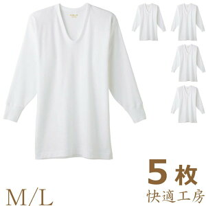 Ci[ Y GUNZE KH[ U KH3810 5g  am O[ 8 gunze Ci[Vc rWlXCi[ ܂Ƃߔ 5 100% u ulbN(01053)