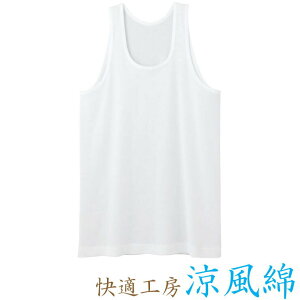 Ci[ Y GUNZE KH[  jO KH6420 Pi O[ KH[ gunze am ^Ngbv O[ ėp T}[Ci[ A_[EFA Ci[EFA 100% RbgC