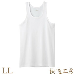 Ci[ Y GUNZE KH[ jO KH5020 llTCY Pi am O[ Ci[Vc A_[Vc 傫TCY 100% RbgCi[ TCY (01608)