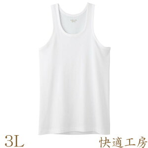 Ci[ Y GUNZE KH[ jO KH5020 3lTCY Pi am O[ Ci[Vc A_[Vc 傫TCY 100% RbgCi[ TCY (01610)