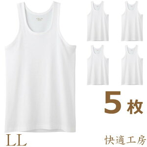 Ci[ Y GUNZE KH[ jO KH5020 llTCY 5g  am O[ Ci[Vc A_[Vc 傫TCY 100% RbgCi[ 5 ܂Ƃߔ 