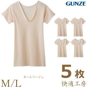 Ci[ 3 fB[X GUNZE KH[ V^OX[}[ KH5050 5g  O[ wl gunze vlbN 100%(01665)