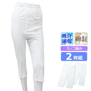 A_[EFA Y Vh DRYJmR 13-019 p 2g  n[t Y{ ̎q҂ ėp T}[Ci[ Opc XeeR am  hCCi[ dry z