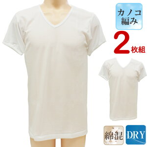 T}[Ci[ Y Vh DRYJmR V 13-017 2g  z Ci[Vc vlbN ėp JmR҂ ̎q am ȍCi[  ʋC rWlXCi[ ʋ 