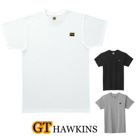 tシャツ 半袖 メンズ グンゼ GTホーキンス 丸首 クルーネック Tシャツ HK2113A 単品 tシャツ メンズ gtホーキンス ブランド 無地(04435)