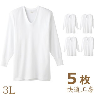 Ci[ Y GUNZE KH[ U KH3010 5g  3lTCY 傫TCY  gunze u ulbN 100% A_[EFA Ci[EFA am O[  ܂Ƃߔ(00933)