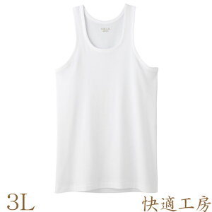 jO Y GUNZE KH[ jO KH5020 Pi 3lTCY 傫TCY  O[  100% gunze Ci[Vc A_[Vc(01610)