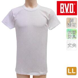 インナー メンズ BVD 丸首半袖Tシャツ FE313 単品 LLサイズ 大きいサイズ シャツ コットン オールシーズン クルーネック bvd 下着 肌着 ブランド 綿100% b.v.d.（03569）