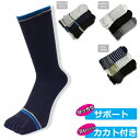 メンズ 五本指ソックス 5本指の破壊力 3足組 送料無料 クルー丈 綿混 靴下 ソックス くるぶしソックス かかと付き（03831）