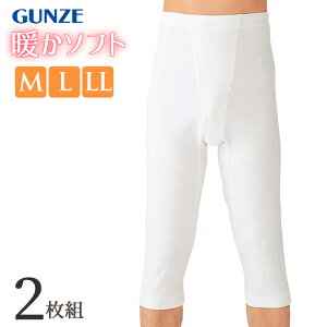 �C���i�[ �����Y �O���[ �g���\�t�g ���Y�{���� RP6507A 2���g GUNZE gunze �g���� �X���[�X ���������C���i�[ �H�~ �X�e�e�R �����Ђ� �A���_�[�p���c �A���_�[�E�F�A ���� �a�m ��100%�i05329�j