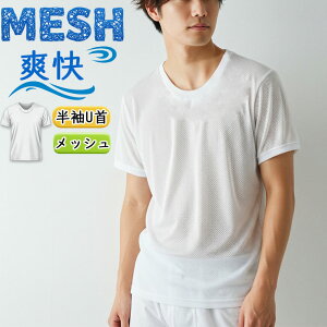 Y Ci[ U 2g DRYbV 13-021 Vh  ubV z RۖhLH ȍ  am  A_[Vc Vci03826j