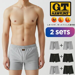 �����Y �j�b�g�g�����N�X �O���� GT�z�[�L���X 2���g �Z�b�g G.T.HAWKINS �����Y�p���c �O�J�� �a�m���� �A���_�[�E�F�A �A���_�[�p���c �u�����h gt�z�[�L���X�i02083�j