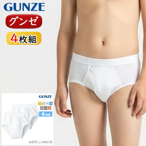 LbY O[ q 100 j̎q Xpu[t 4g BF950  O OJ j  qǂ gunze pc  WjA (01119)