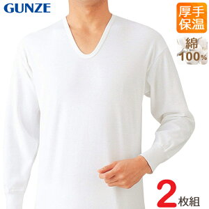 Ci[ Y GUNZE \tg U RP55102 2g O[ gunze g Ci[ H~ A_[EFA am ΍ 100%i02683j