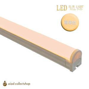 ���ǌ`LED�uSLED-F30L�v(30cm) ����̌^ �d���F �X�������C�g