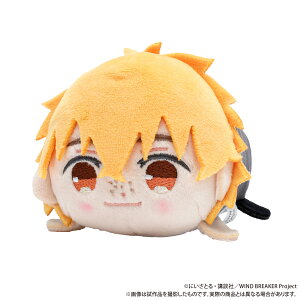 yVi/z WIND BREAKER_߂ˁiʂ݁j^HF ObY CZX colleize RCY Aj LN^[ ObY