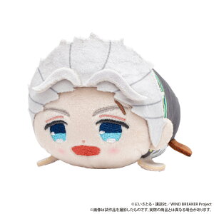 yVi/z WIND BREAKER_߂ˁiʂ݁j^~{ ObY CZX colleize RCY Aj LN^[ ObY