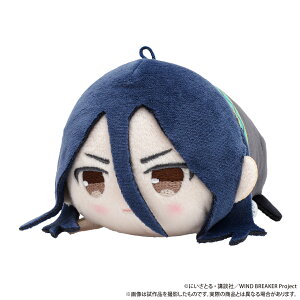yVi/z WIND BREAKER_߂ˁiʂ݁j^Y ObY CZX colleize RCY Aj LN^[ ObY