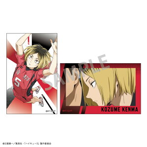 yVi/z nCL[!!_Tinymide/ǒ  ObY CZX colleize RCY Aj LN^[ ObY