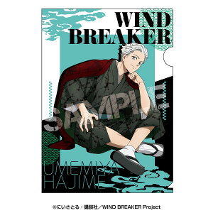 yVi/z WIND BREAKER_NAt@C 2.~{ ObY CZX colleize RCY Aj LN^[ ObY