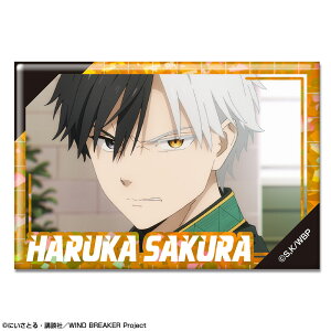 yVi/z WIND BREAKER_zOʃobW fUC04(y/D) ObY CZX colleize RCY Aj LN^[ ObY