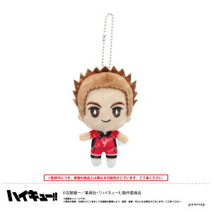 yVi/z nCL[!!_Ăʂ݃~j(H ) ObY CZX colleize RCY Aj LN^[ ObY