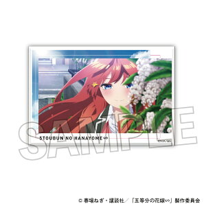 yVi/z ܓ̉ԉŁ_X^pl ~j@5 ObY CZX colleize RCY Aj LN^[ ObY